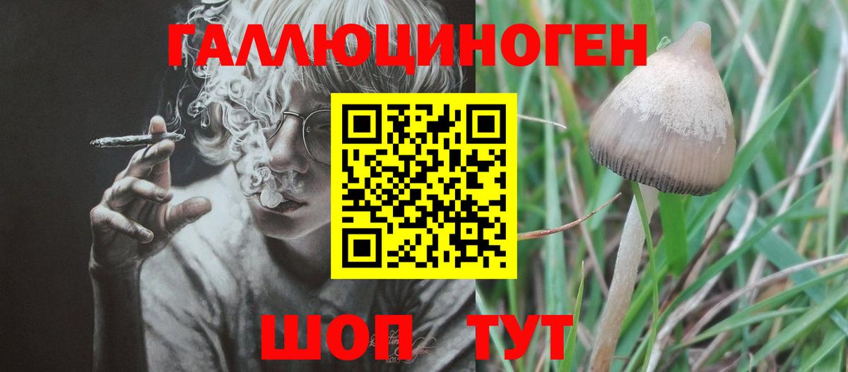 Псилоцибиновые грибы прущие грибы  Галлюциногенные грибы мицелий  Балтийск  Вход с VPN 